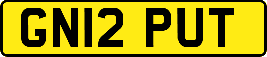 GN12PUT