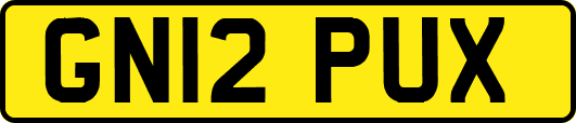 GN12PUX