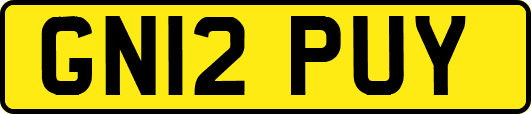 GN12PUY