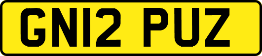 GN12PUZ