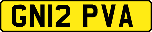 GN12PVA