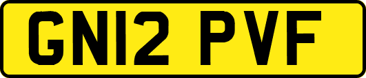 GN12PVF
