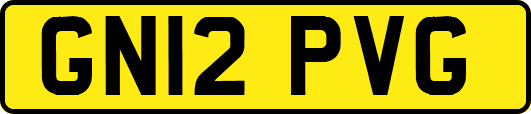 GN12PVG