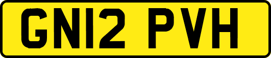 GN12PVH