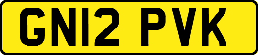 GN12PVK