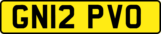 GN12PVO