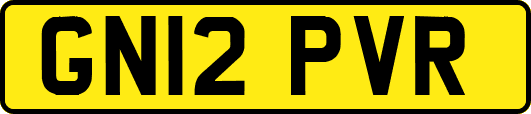GN12PVR