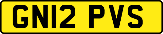 GN12PVS