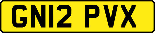 GN12PVX