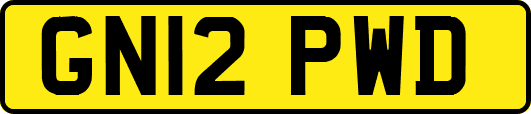 GN12PWD
