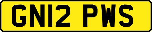GN12PWS