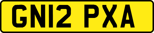 GN12PXA