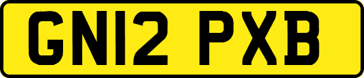 GN12PXB