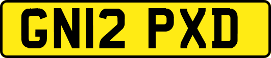 GN12PXD