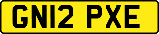 GN12PXE