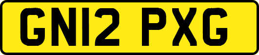 GN12PXG