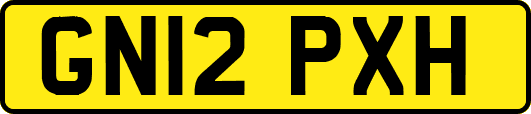 GN12PXH