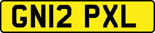 GN12PXL
