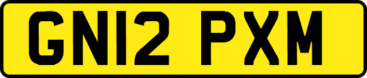 GN12PXM