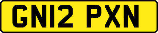 GN12PXN