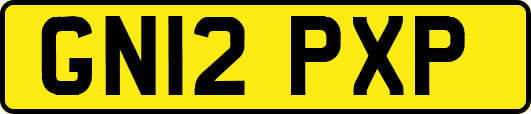 GN12PXP