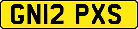 GN12PXS