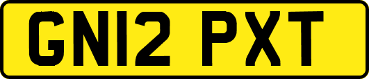 GN12PXT