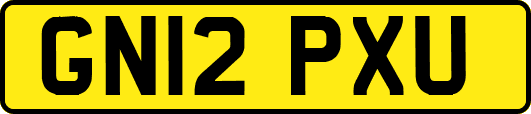 GN12PXU