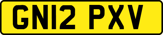 GN12PXV