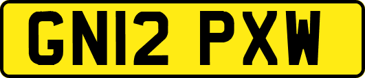 GN12PXW