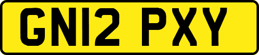 GN12PXY