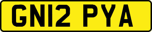 GN12PYA
