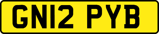 GN12PYB