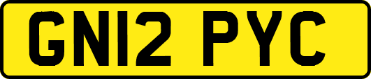 GN12PYC