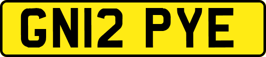 GN12PYE