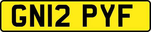 GN12PYF