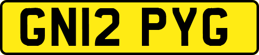 GN12PYG