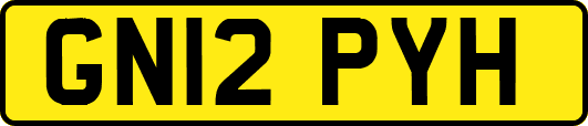 GN12PYH