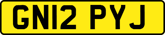 GN12PYJ
