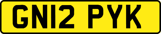 GN12PYK