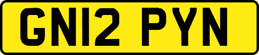 GN12PYN