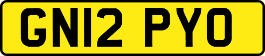 GN12PYO