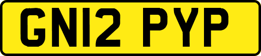 GN12PYP