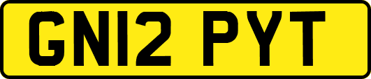 GN12PYT