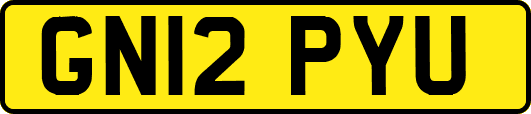 GN12PYU