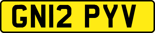 GN12PYV