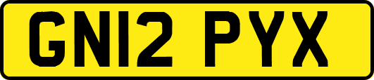 GN12PYX