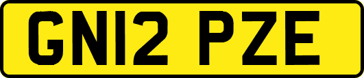 GN12PZE