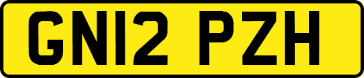 GN12PZH