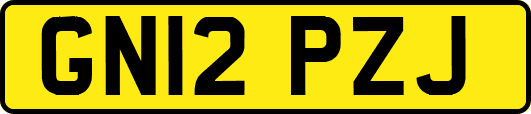 GN12PZJ